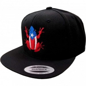 Baseball Caps Puerto Rico Snapback Hats Vintage Hats - Coqui/SnapBack/Black - C918U552QDS $52.46