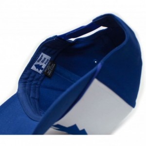 Baseball Caps Dipper Blue Pine Hat Embroidered Cloth & Braid Adult One Sz Royal/White Baseball Cap - CG120KN05XF $34.60