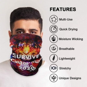 Balaclavas Bandana Face Mask Cover Balaclava Men Women - Galaxy Neck Gaiter Protective Face Covering Seamless Bandanas - C319...