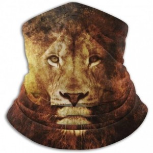 Balaclavas Lion Neck Gaiter Warmer Windproof Mask Dust Face Clothing Free UV Face Mask - Lion - CN196QXDZXI $35.62
