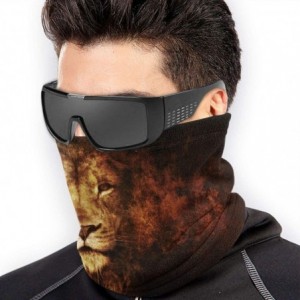 Balaclavas Lion Neck Gaiter Warmer Windproof Mask Dust Face Clothing Free UV Face Mask - Lion - CN196QXDZXI $31.80