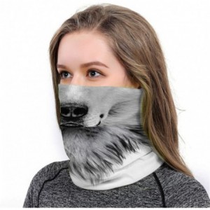 Balaclavas Cool Wolf Lion Print Bandana Balaclava Face Mask Neck Gaiter Scarf Headband for Men Women - Grey Wolf - CX197XM2HQ...