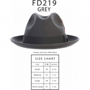 Fedoras Men's Premium 100% Wool Fedora Hat - Gray - CS18O08QM29 $73.18
